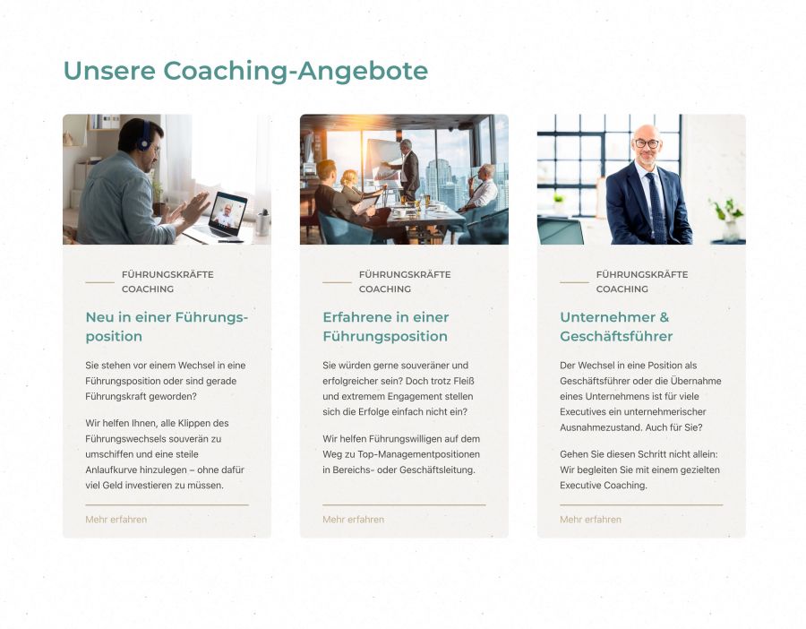 Webseite Transition Coaching